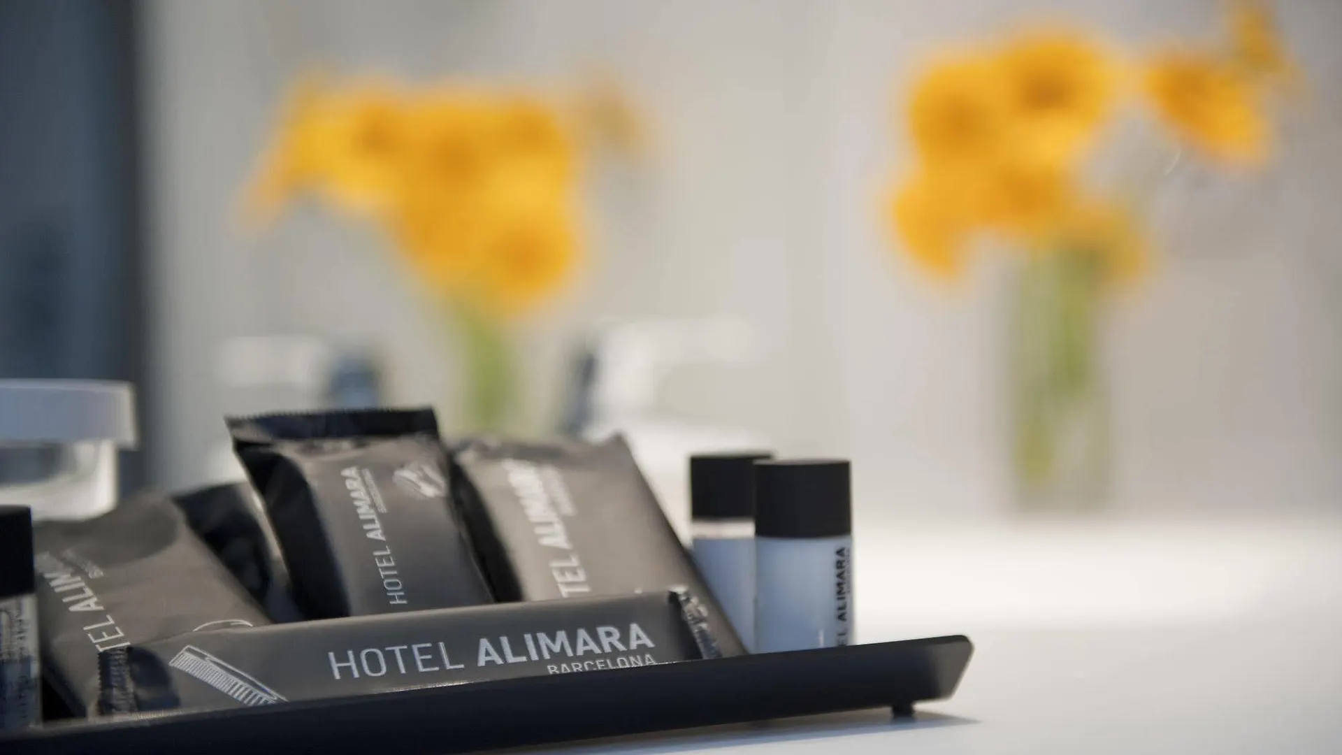 Hotel Alimara Barcelona